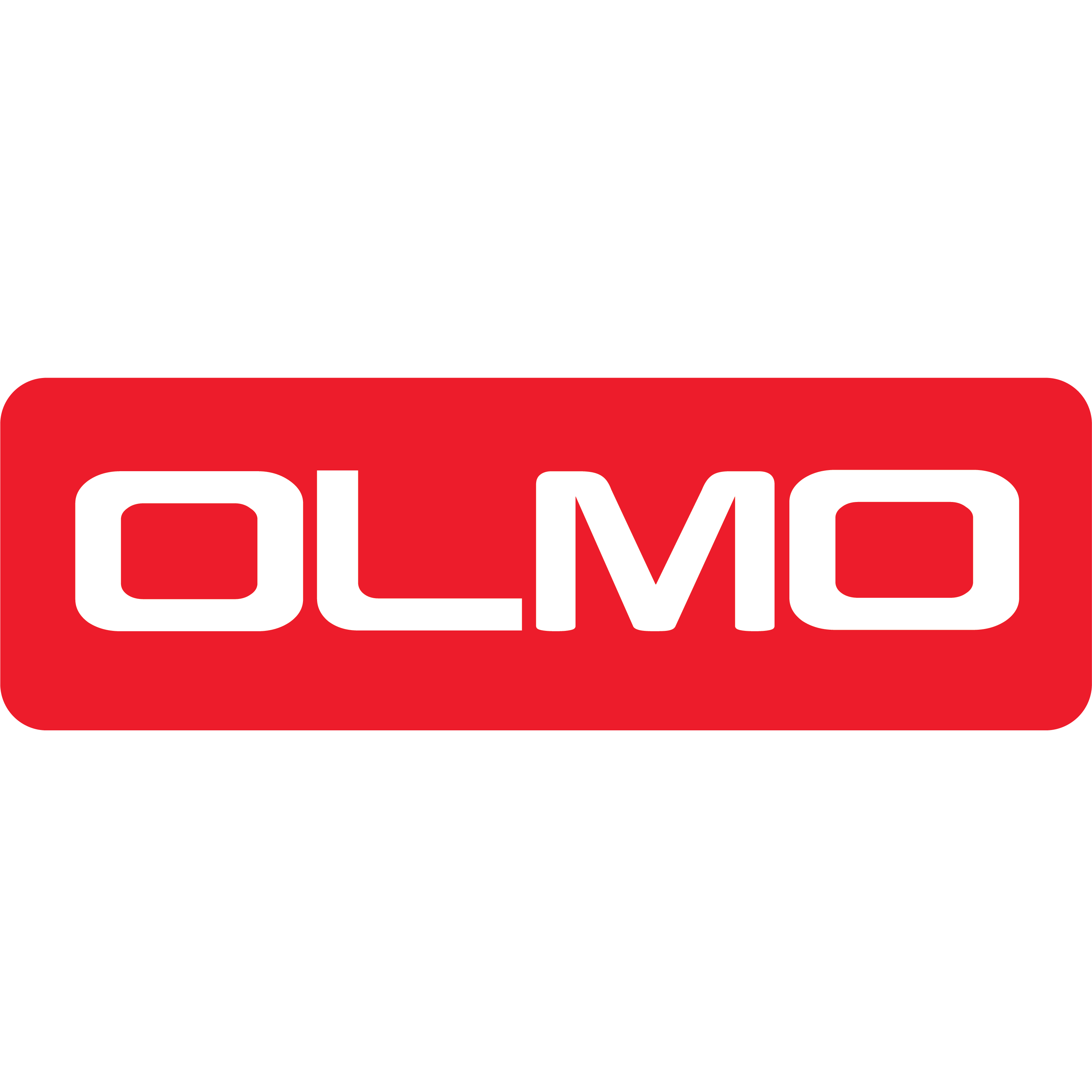 Olmo